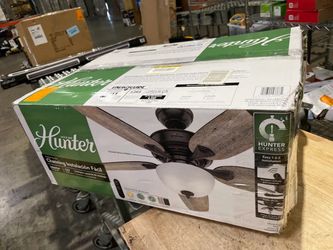 Ceiling fan