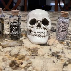 Target Bullseye Playground Halloween Skeleton Head and Potion Bottles