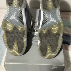 Jordan 11 “Cool Grey”