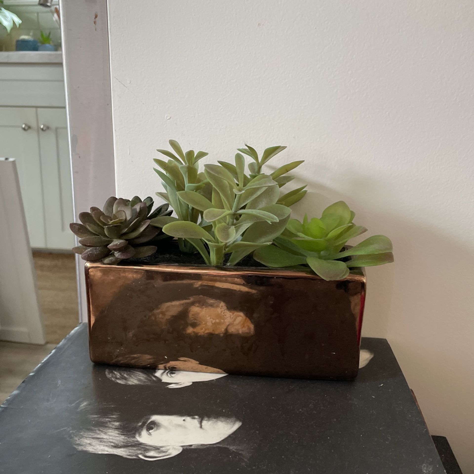 Indoor Plant Fake Succulent Decor 