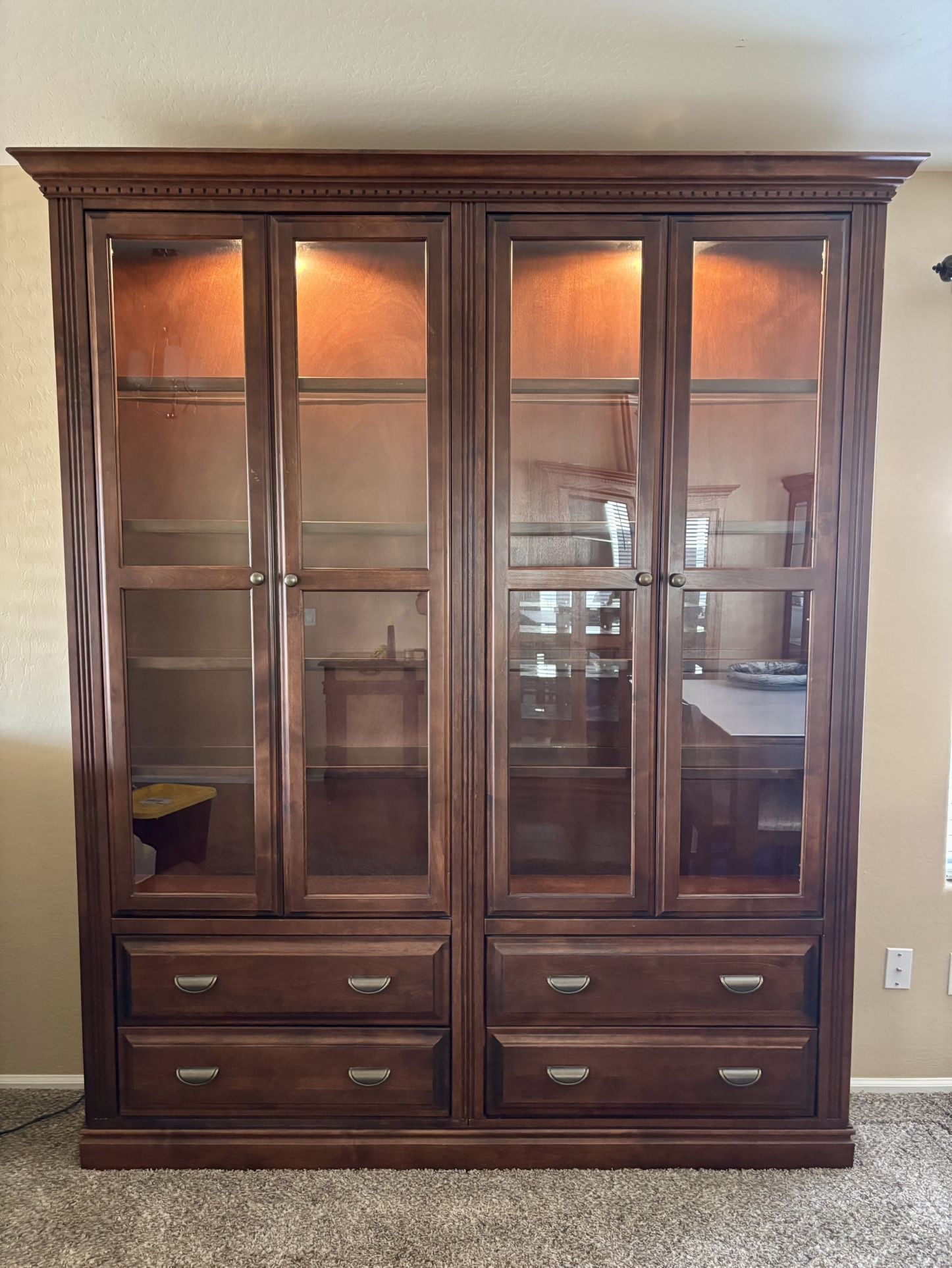 Lighted Dark Wood Display/Bookcase