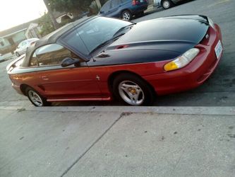 Mustang