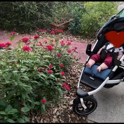 Thule Urban Glide Jogging Stroller (2022) – Excellent Condition