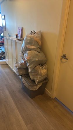 FREE CLOTHES 4 BAGS & FREE HOMEGOODS