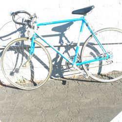 Traveler Bicycle