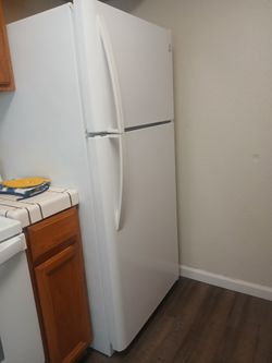 Single door refrigerator