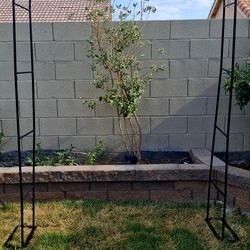 Garden Arch