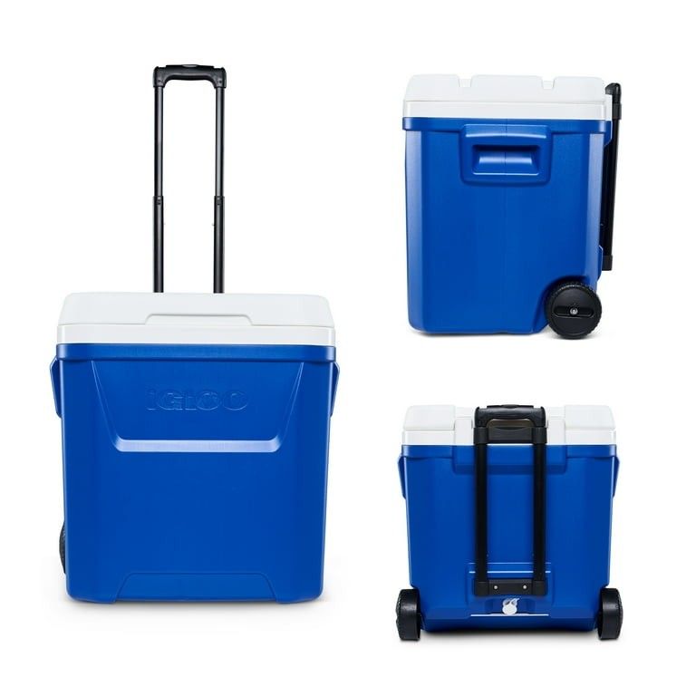 Cooler