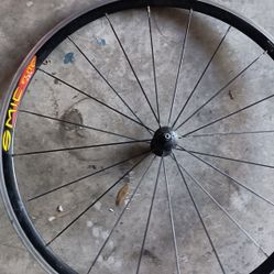 Mavic Cosmic Elite Wheel