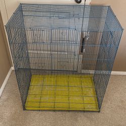 Bird Cage 