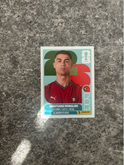 World Cup panini stickers