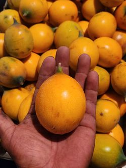 Sweet Passion Fruit