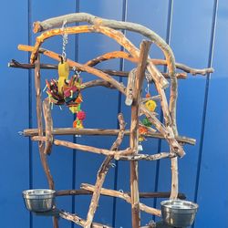 Parrot Perch Tree— All Custom …. Your Feathered Buddy S New Hangout Spot !! ❤️