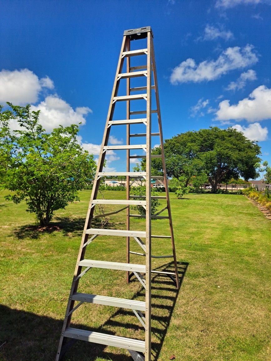 12 Ft Ladder