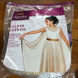 Costume Goddess Size 10-12