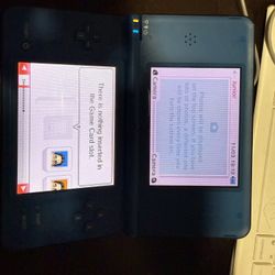 1 Dsi Xl 1 Dsi With 2 Chargers