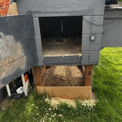  Chicken Coop And 8x5 Enclosed Run