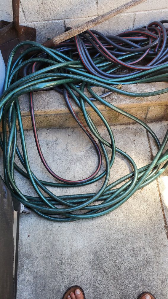 Two 100' ft feet Hoses