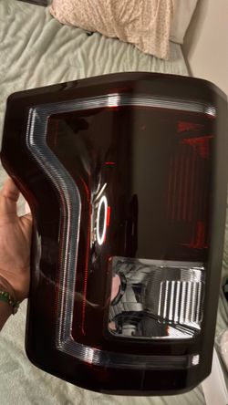 Calavera traseras para F-150 (2015-2017)