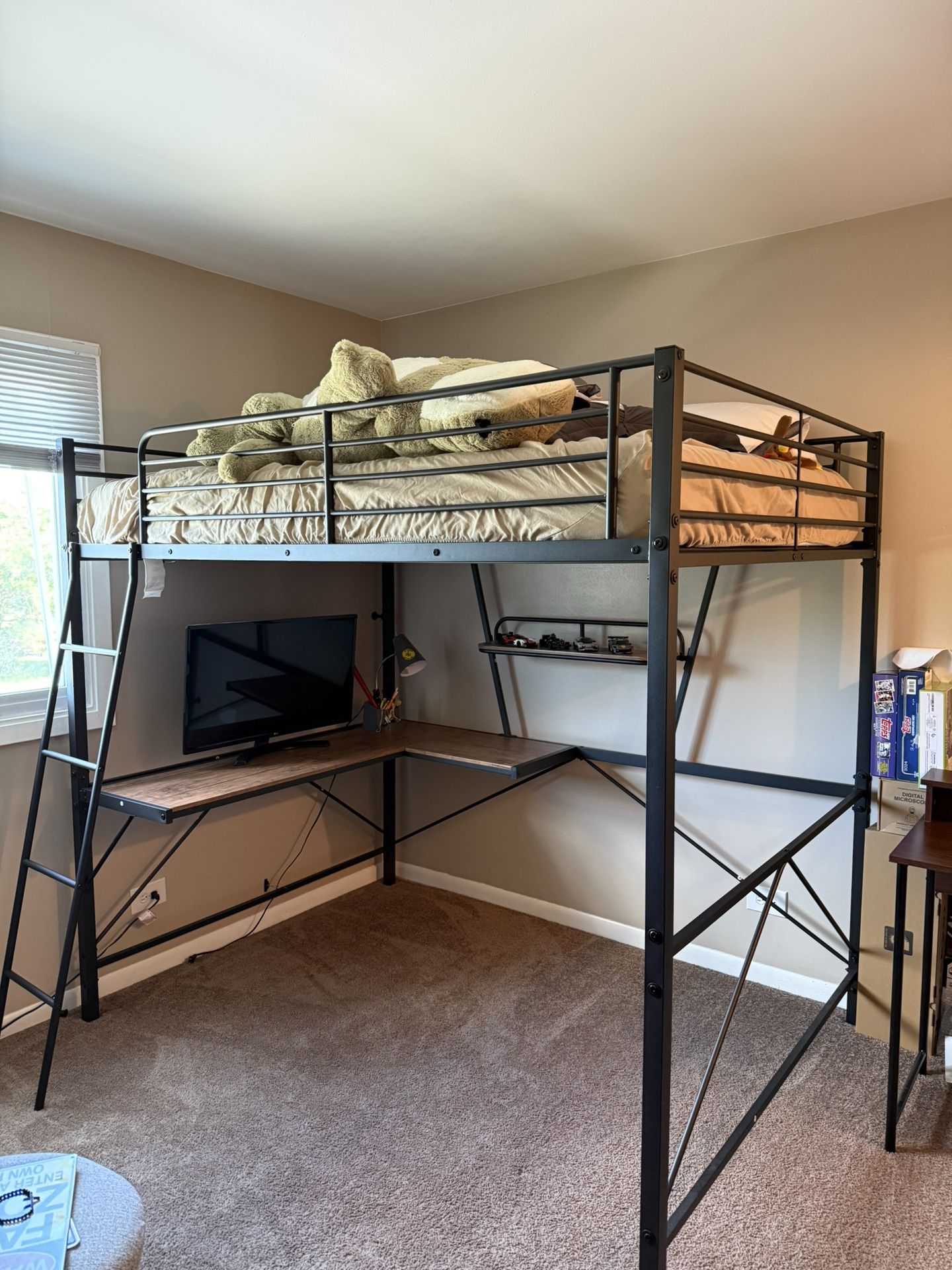 Bunk Loft Bed