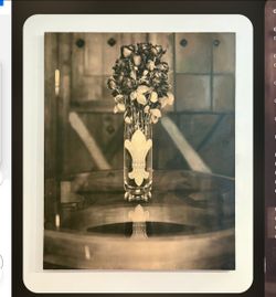 Chrome Hearts OG 50X60 inch digital print, SUPER RARE!!" Dead black roses in vase" asking $5k