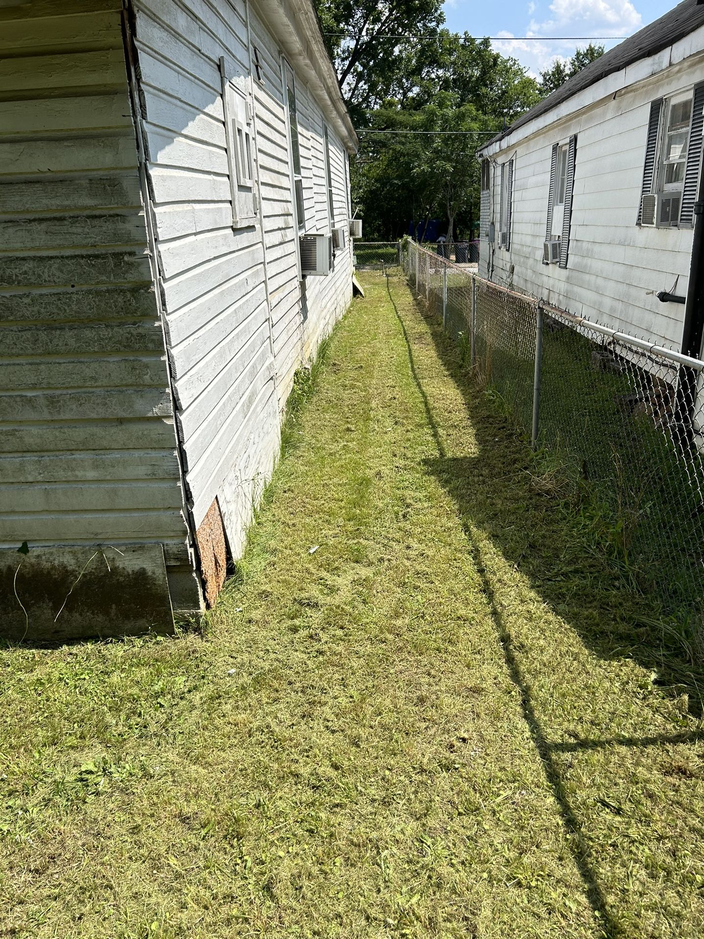 Available Cut Grass Today