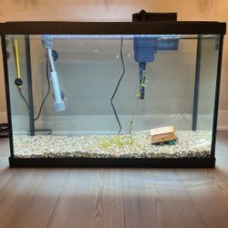 29 Gallon Fish Tank Kit
