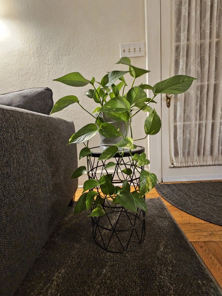 Black Accent Table Or Plant Stand With Mirror Top