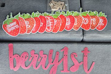 Berry 1st birthday banner and monthly picture banner new