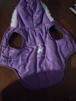 Us Polo Dog Sweater