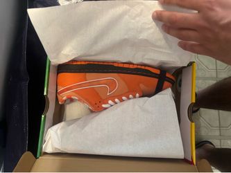 Nike sb dunk orange lobster