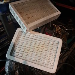 3 Grow Lights