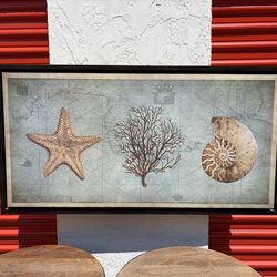 "Sea Treasures II" Framed Canvas Print Deborah Devellier 42x22