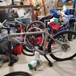 Nice Mountain Bike 