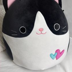 Squish mellow Tuxedo Cat