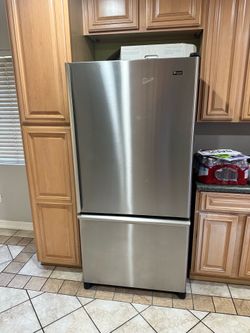 Stainless Steel Refrigerator with Bottom Freezer