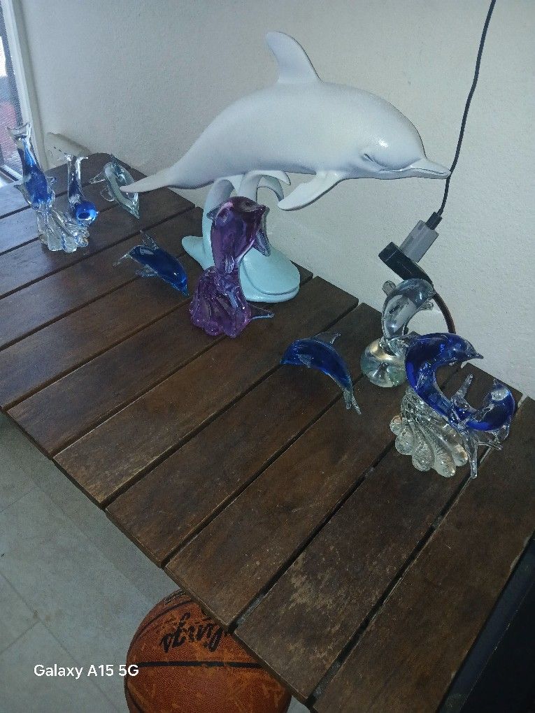 10 Dolphin Collection