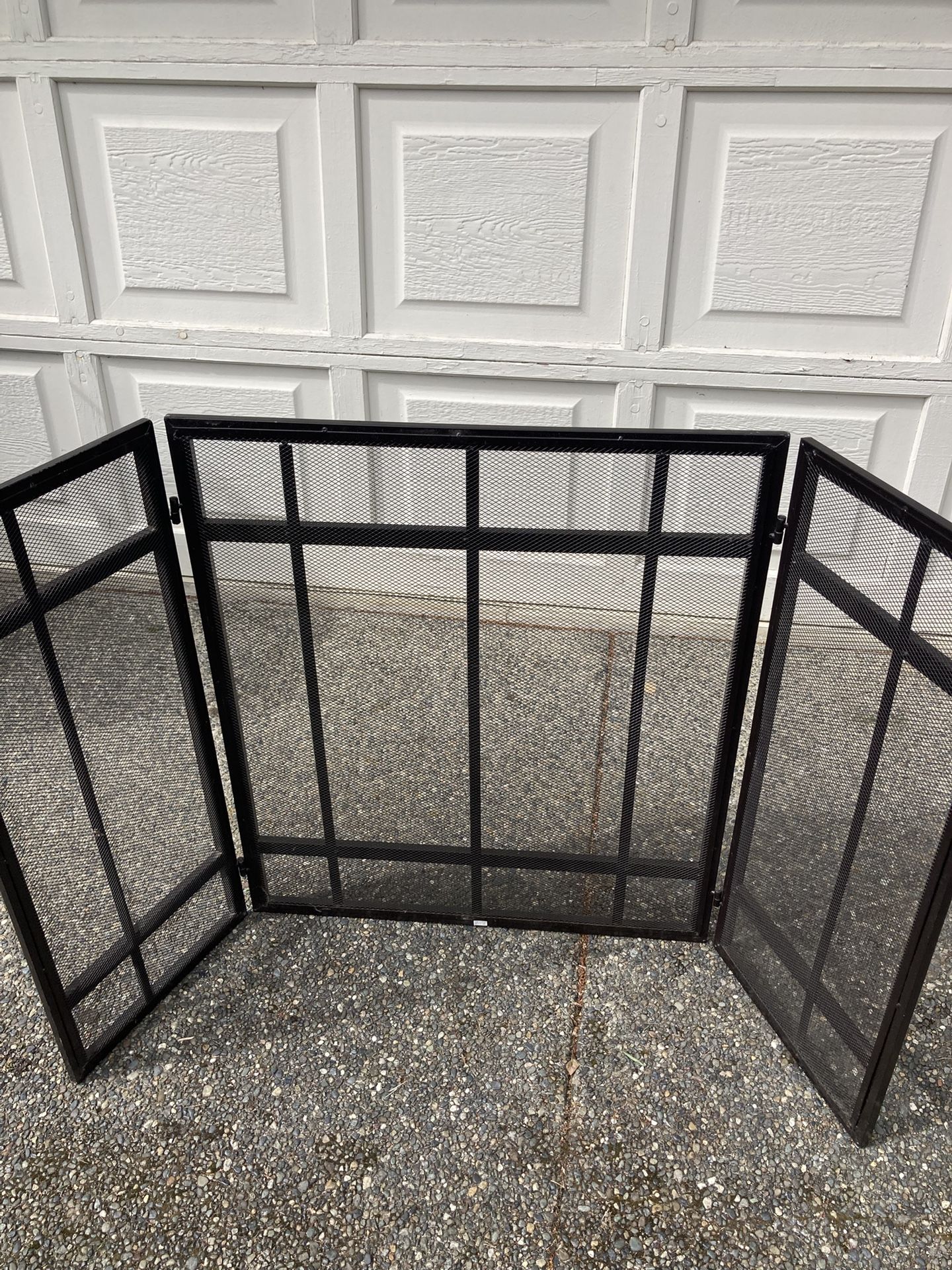 Fire Place Screen