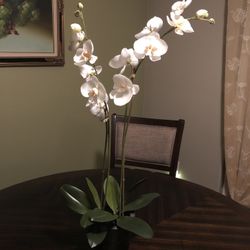 Orchid plant decor