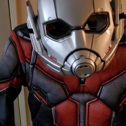 Child's Antman Costume