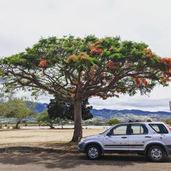 2005 Honda Cr-v