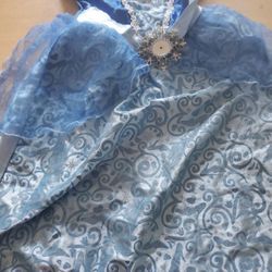 Princess Cinderella Custom Size 3