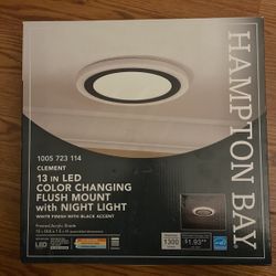 Flush Mount Light