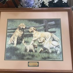 Lovely Picture Of Particular Dog Breed Golden 