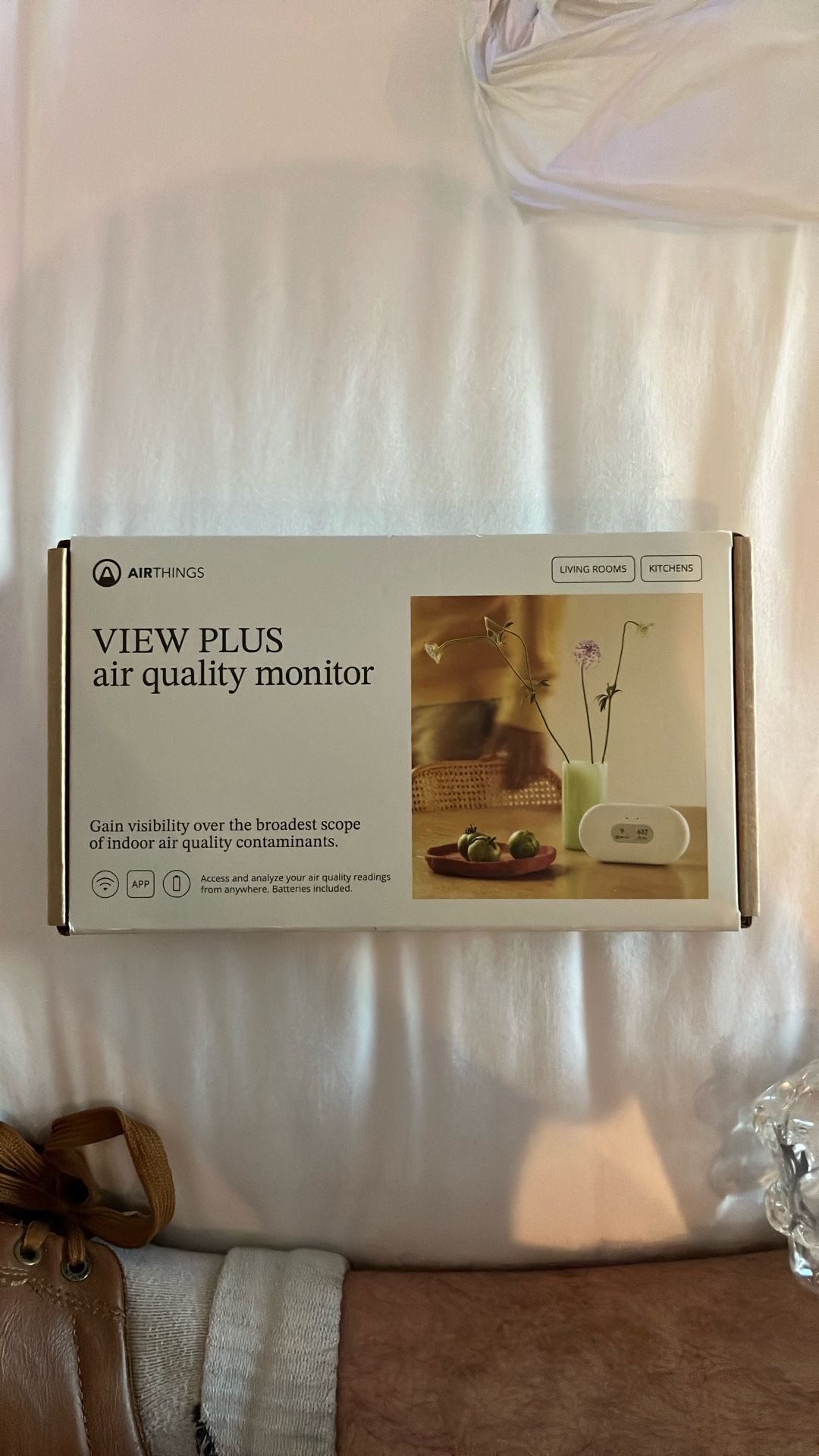 AIRTHINGS VIEW PLUS