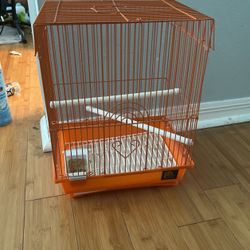 Bird Cage