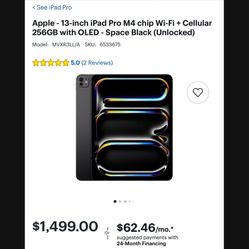 Apple - 13-inch iPad Pro M4 chip Wi-Fi + Cellular 256GB with OLED - Space Black (Unlocked)