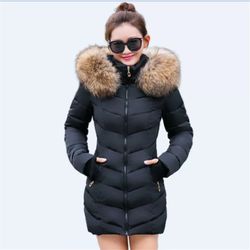 Warm winter jacket / hooded with fur in the collar