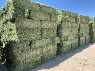 ALFALFA DELIVERY