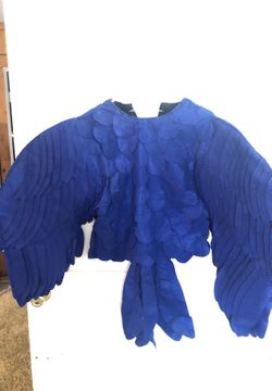 Blue macaw hand made costume